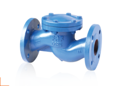 FAF 2250 DN32 PN16 Flanşlı Yaylı Çekvalf