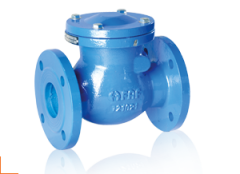 FAF 2270 DN250 PN16 Flanşlı Çalpara Çekvalf