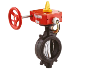 ALEUM İZLENEBİLİR KELEBEK VANA 2 1/2''
