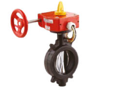 ALEUM İZLENEBİLİR KELEBEK VANA 2 1/2''