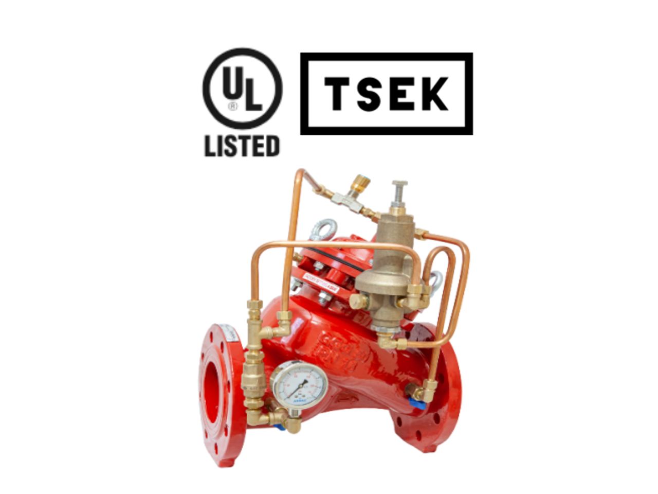 ARMAŞ RELIEF (BASINÇ TAHLİYE) VANASI-UL ONAYLI Q80