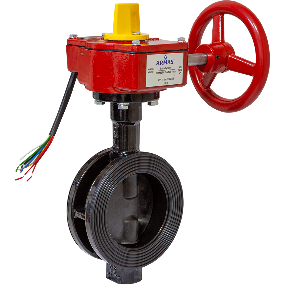 ARMAŞ İZLENEBİLİR KELEBEK VANA 5''