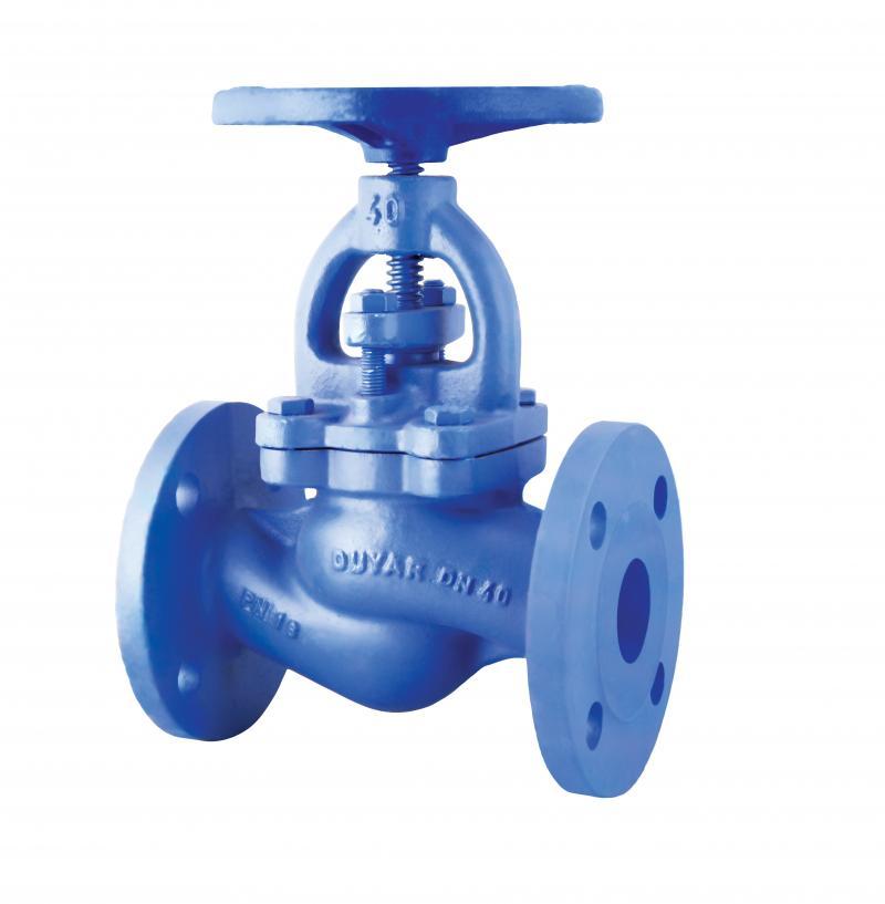 DN 125 Glob Vana PN 16 Flanşlı Sfero döküm