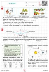 4. Sınıf Süper Soru Bankası (Tüm Dersler)
