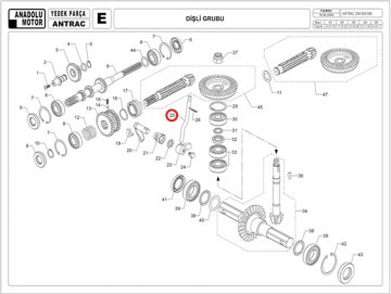 Antrac Vites Kolu Alt 200 350 360 A20455203088