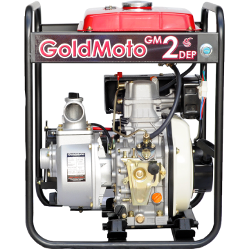 GoldMoto GM2DEP Dizel Su Pompası 2''