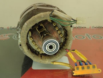 Rotor & Stator 3.0kW 3.75kVA 4500-00036