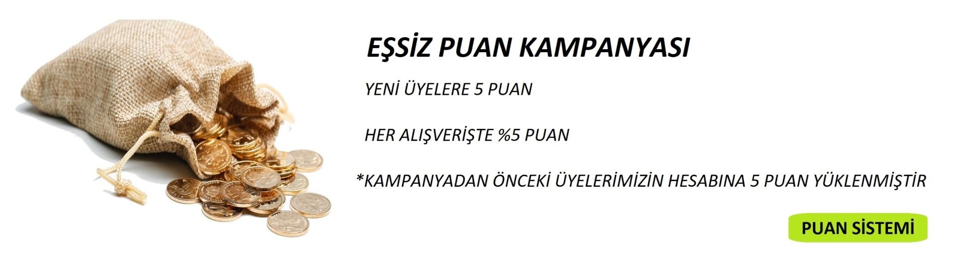 PUAN SİSTEMİ