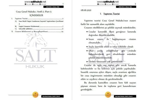 Ceza Genel Hukuku Amfi 2 2. Dönem Not Seti (2020-2021)-DEÜ-Konu Anlatım Kitapçığı