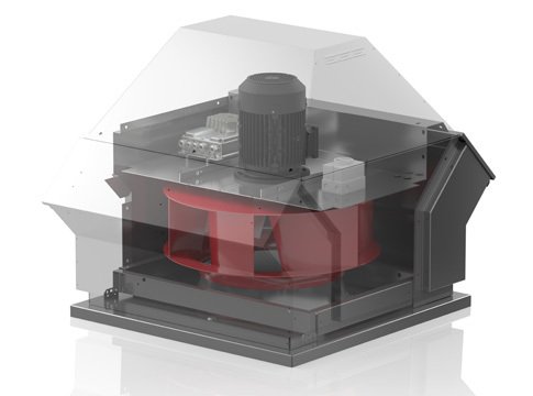 RCD 31D/4.T