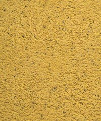 Versele Laga Orlux Gold Patee Ballı Yumurtalı Nemli Kanarya Maması Sarı Kapak 5 kg