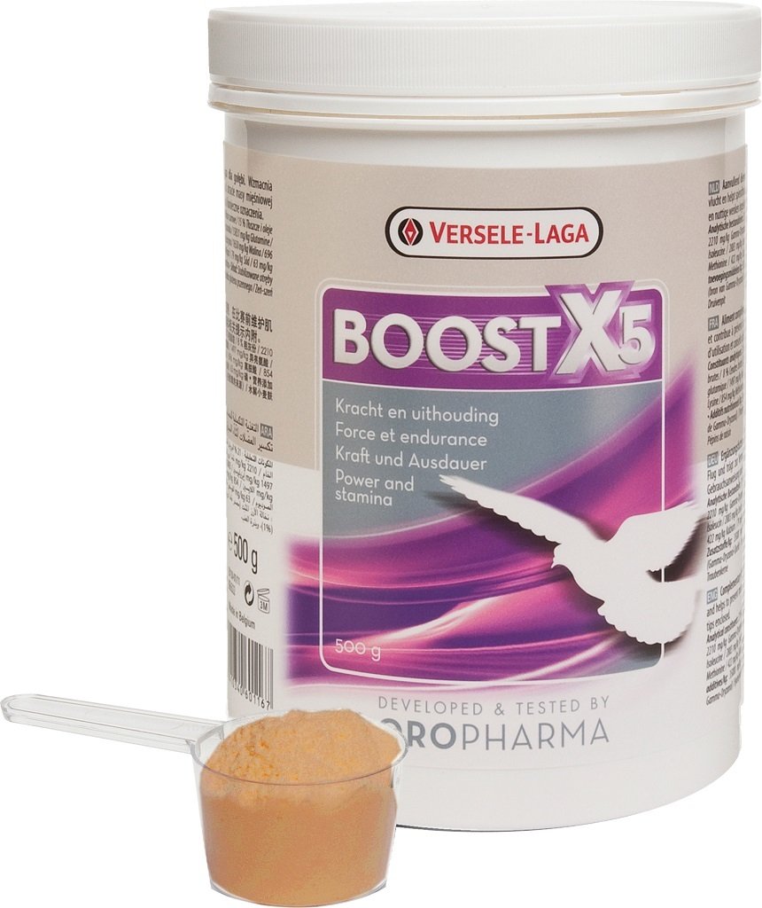 Versele Laga Boost X 5 (Yarış Güv.Güç İçin)500 Gr