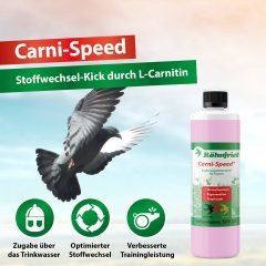 Röhnfried Carni-Speed L-Karnitinli Metobolizma Düzenlyeci Yağ Yakıcı 500 ml