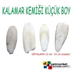 Küçük Boy Kalamar (Mürekkep Balığı) Kemiği 500 Gr