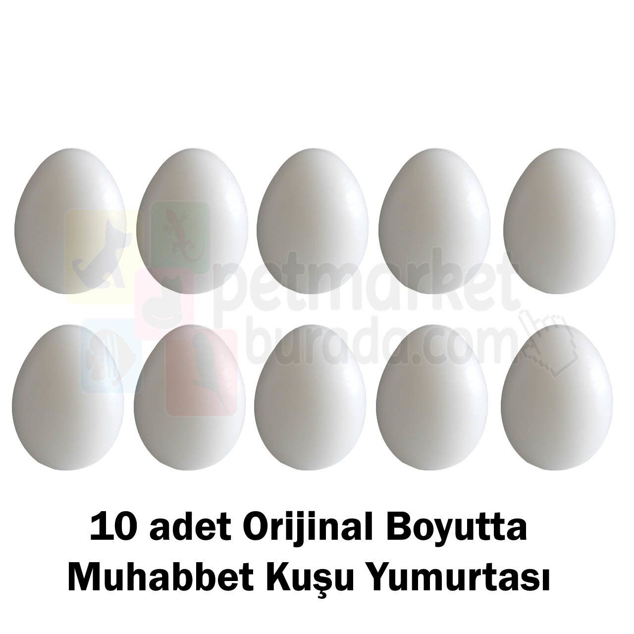Sahte Muhabbet Kuşu Yumurtası Orijinal Boyut 10 Adet