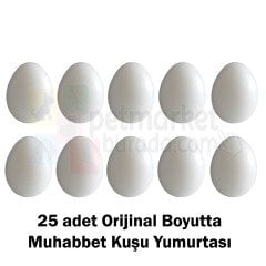 Sahte Muhabbet Kuşu Yumurtası Orijinal Boyut 25 Adet