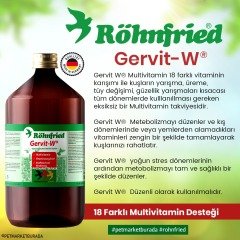 Röhnfried Gervit-W MultiVitamin Takviyesi 100 ml
