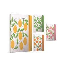 Gıpta Prima Notes İpli Dikişli Sert Kapak Defter 1