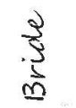 Cadence A4 Serisi Stencil As610 21X29