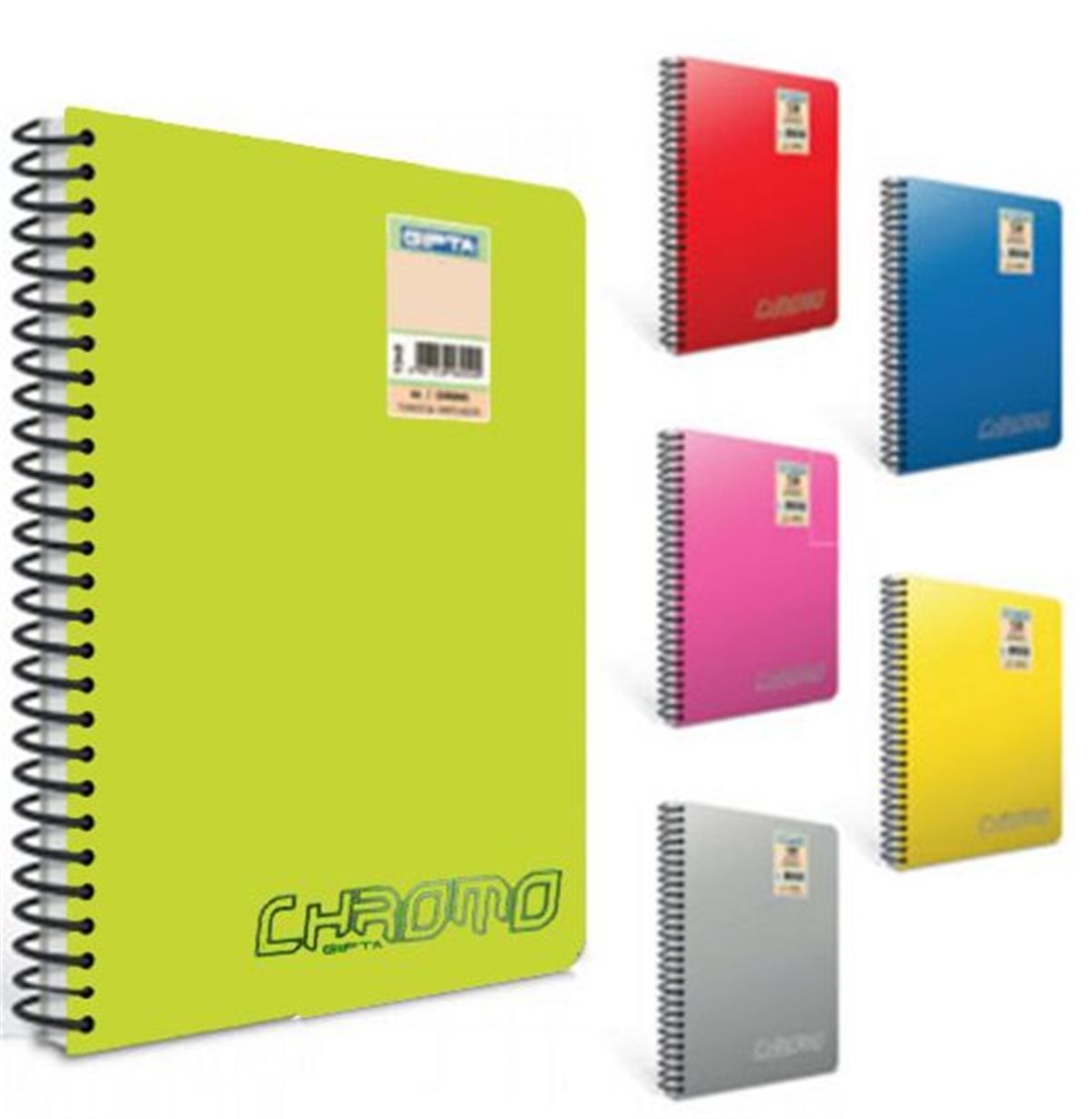 Gıpta Chromo Spiralli Pp Kapak Defter A4 160 Yp Kareli