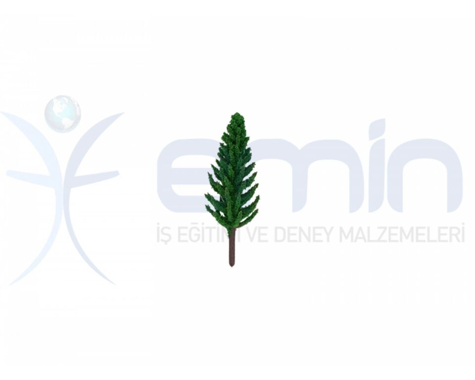 Emin İş Eğitimi Maket Ağaç 4 Lü