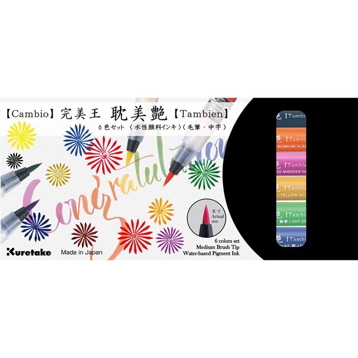 Zig Cambıo Tambıen Pen 6 Lı Set X050T/6Vb