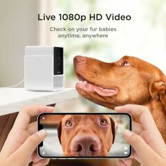 Petcube Cam İç Mekan Wi-Fi Evcil Hayvan ve Güvenlik Kamerası - Telefon App