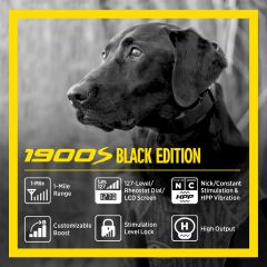 Dogtra 1900S Black Güçlendirme ve Kilitleme E-Yaka Uzaktan Köpek Eğitmeni