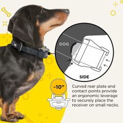 Dogtra iQ Mini Şarj Edilebilir Su Geçirmez Mini Uzaktan Köpek Eğitimi