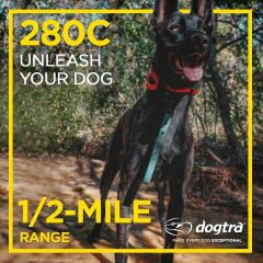 Dogtra 280C Su Geçirmez, Hassas Kontrol LCD Ekran - Uzaktan Eğitim Köpek