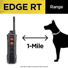 Dogtra Edge RT Uzun Menzilli Yüksek Çıkışlı Uzaktan Köpek Eğitimi