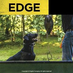 Dogtra Edge Uzun Menzilli Yüksek Çıkışlı Uzaktan Köpek Eğitimi