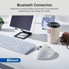 ELECOM Ergonomik Konfor Tasarım Trackball IST Bluetooth 5.3, Başparmak Kontrolü