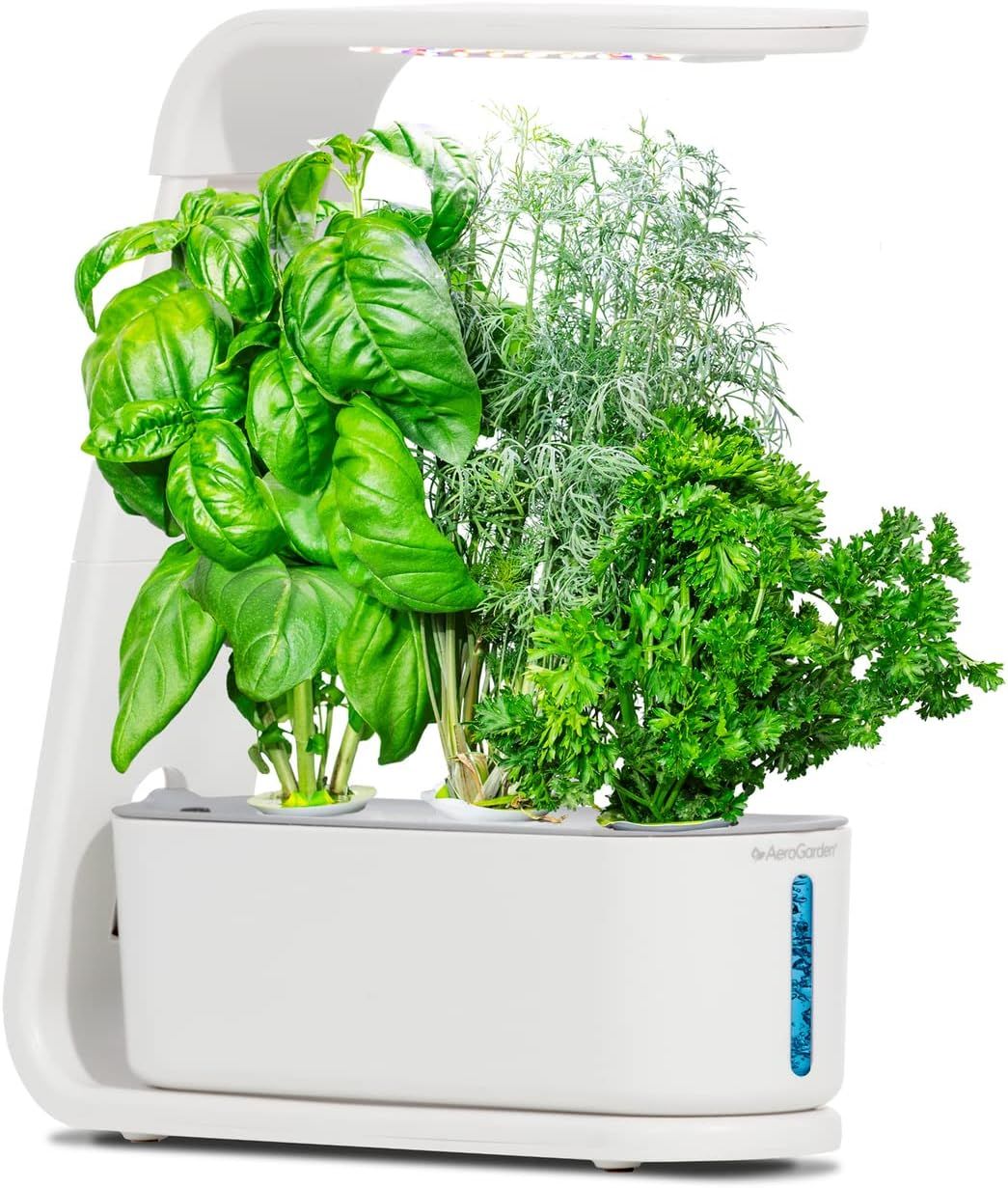 AeroGarden Topraksız Kapalı Bahçe, Filiz ve Gurme Otlar Tohum Kiti - Beyaz