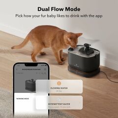 PETLIBRO Uygulama İzlemeli Kablosuz Pompalı Kedi Su Çeşmesi - Siyah