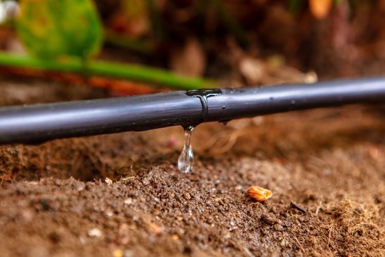 What is Drip Irrigation?