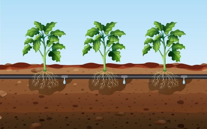 How efficient is drip irrigation?