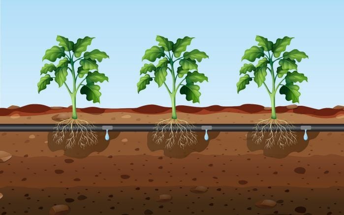 Damalama sulama nekada verimlidir ?