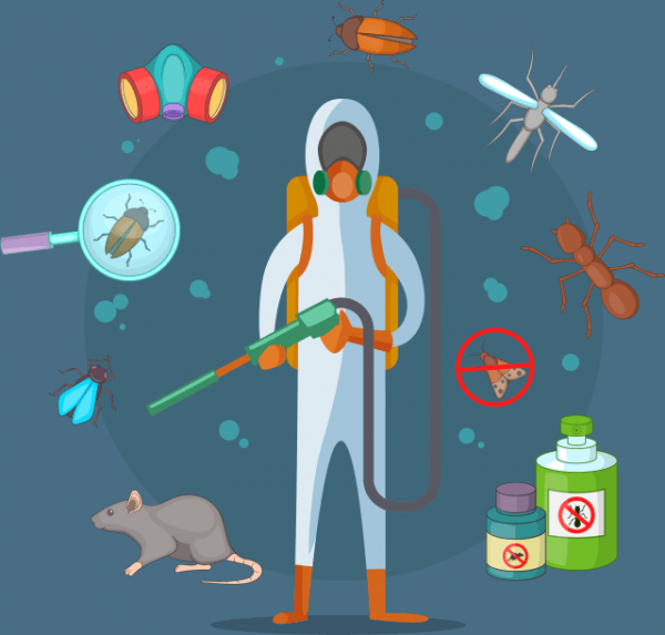 Haşerelere Karşı Güvenli ve Kesin Çözümler