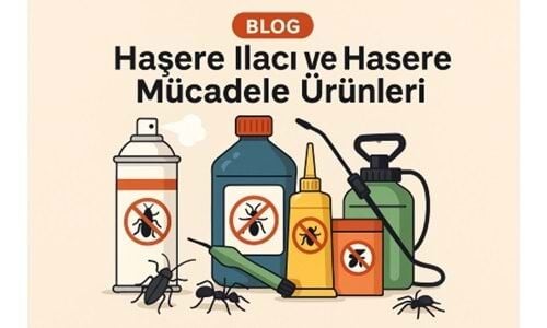 Haşerelerle Mücadelenin Temel Kuralları