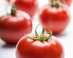 بذور الطماطم جوكر F1 -1000 بذرة