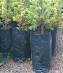 Fidan Poşeti 20 x 39 1Kg