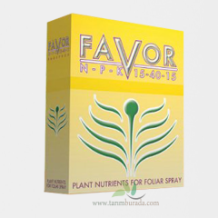 Favor NPK Gübre 15-40-15+TE 1 Kg