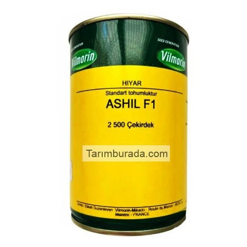 Cucumber Seed ASHIL F1 2500 Seeds