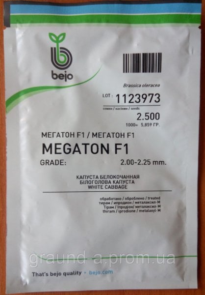 Lahana Tohumu Megaton F1