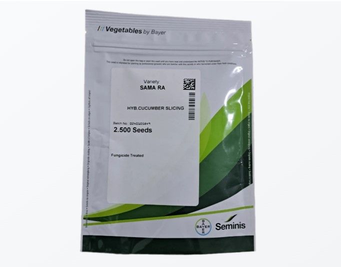 Turşuluk HıyarTohumu Samara  F1 2500 Çekirdek