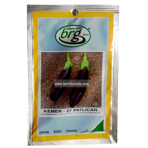 Patlıcan Tohumu Kemer 27  - 10 Gr