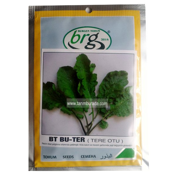 Tere Tohumu Bu Ter - 10 Gr