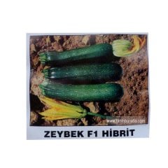 Kabak Tohumu - Zeybek F1 Hibrit 25 Gram