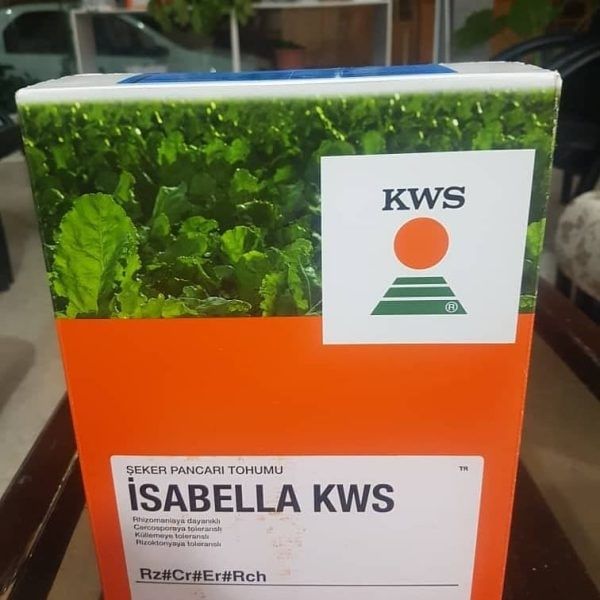 Kaplamalı İsabella Pancar Tohumu